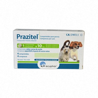 praziquantel